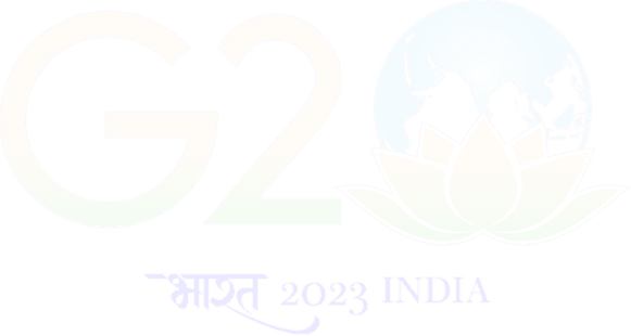 G20